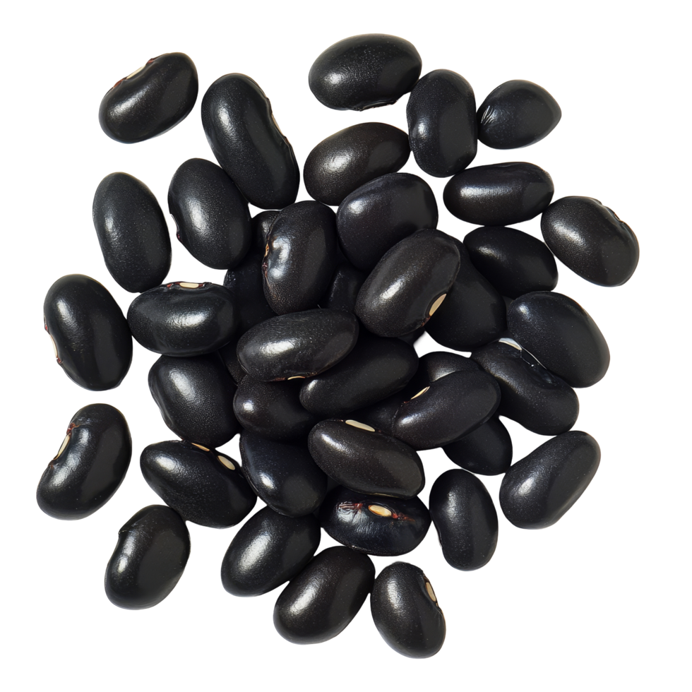 A collection of black beans neatly arranged on a transparent background for culinary use and presentation, black beans on transparent background png