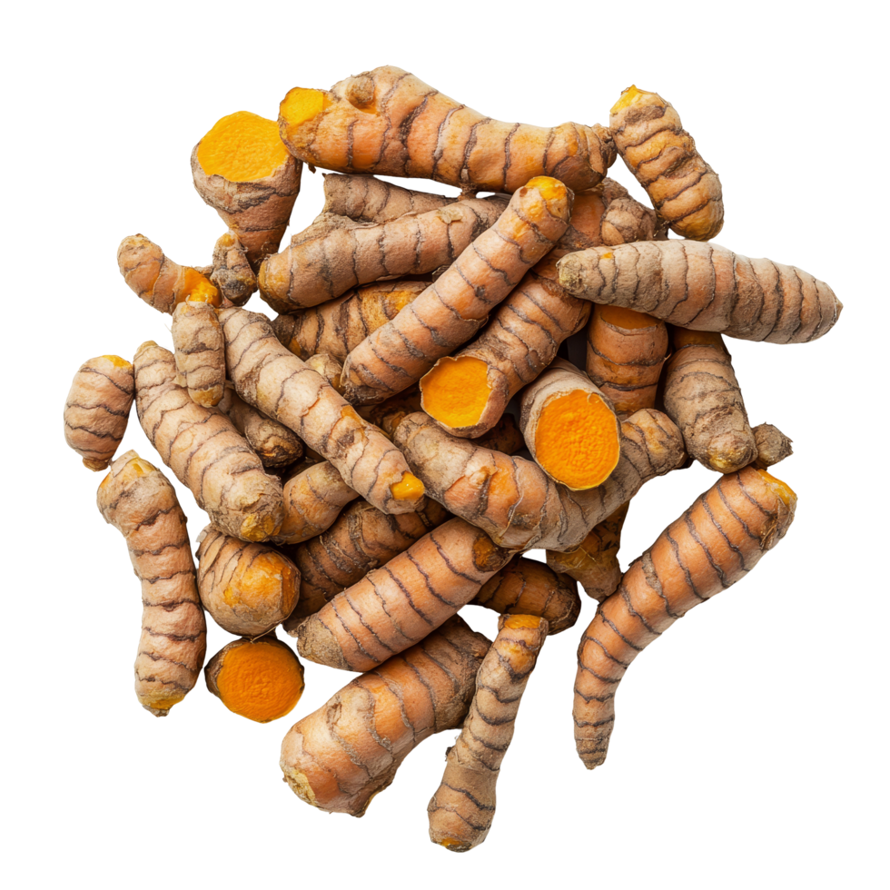 Fresh turmeric roots placed on a clean transparent background showcasing their vibrant orange color and unique texture, turmeric on transparent background png