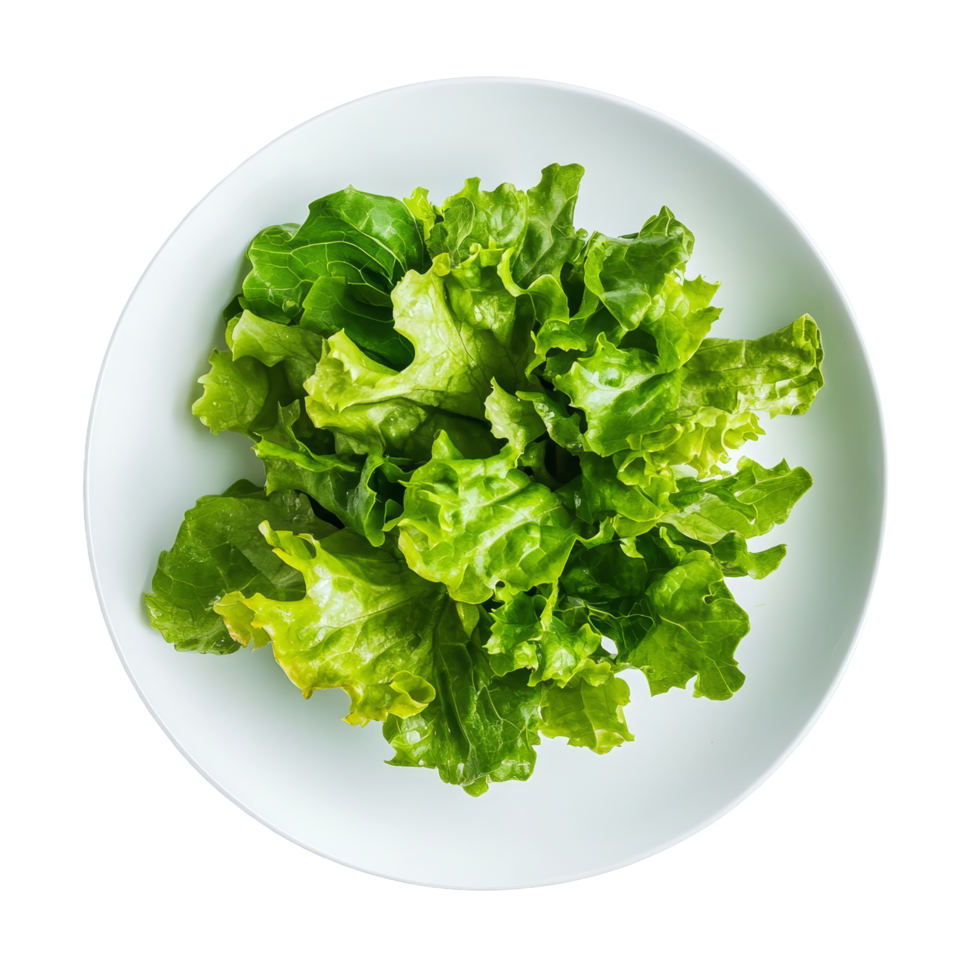Fresh green lettuce leaves arranged in a simple transparent plate on a clean transparent background, Lettuce leaves in transparent plate on transparent background png
