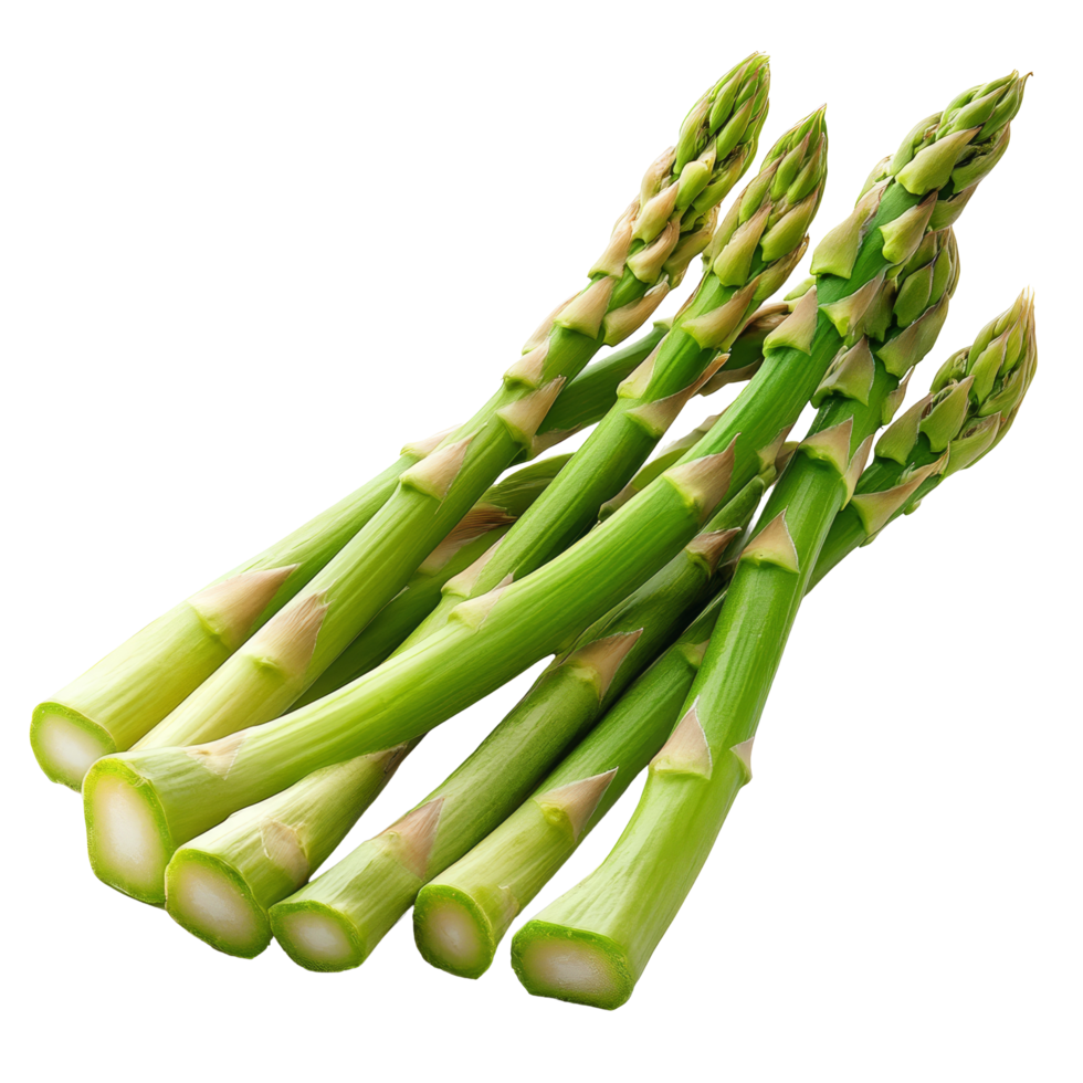 Fresh asparagus stalks isolated on a clean transparent background for culinary and dietary use, Asparagus isolated on transparent background png
