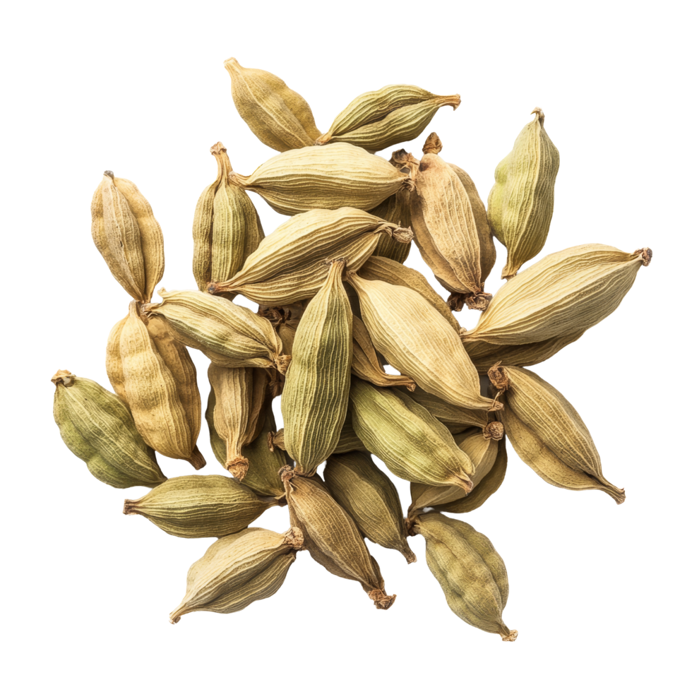 Cardamom pods arranged neatly on a transparent background showcasing their unique shape and color, Cardamom isolate on transparent background png