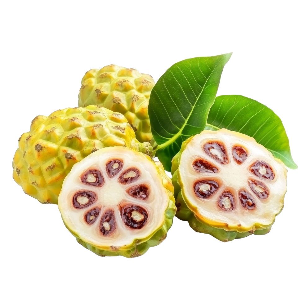 Noni fruits showcasing their unique texture and color against a clean transparent background, Exotic Fruit, Noni fruits on transparent background png