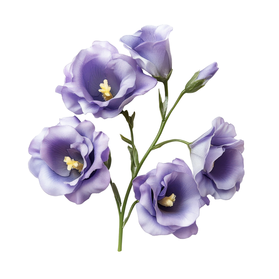 Beautiful lisianthus flower arrangement showcasing delicate purple petals on a clean transparent background, lisianthus flower isolated on transparent background png