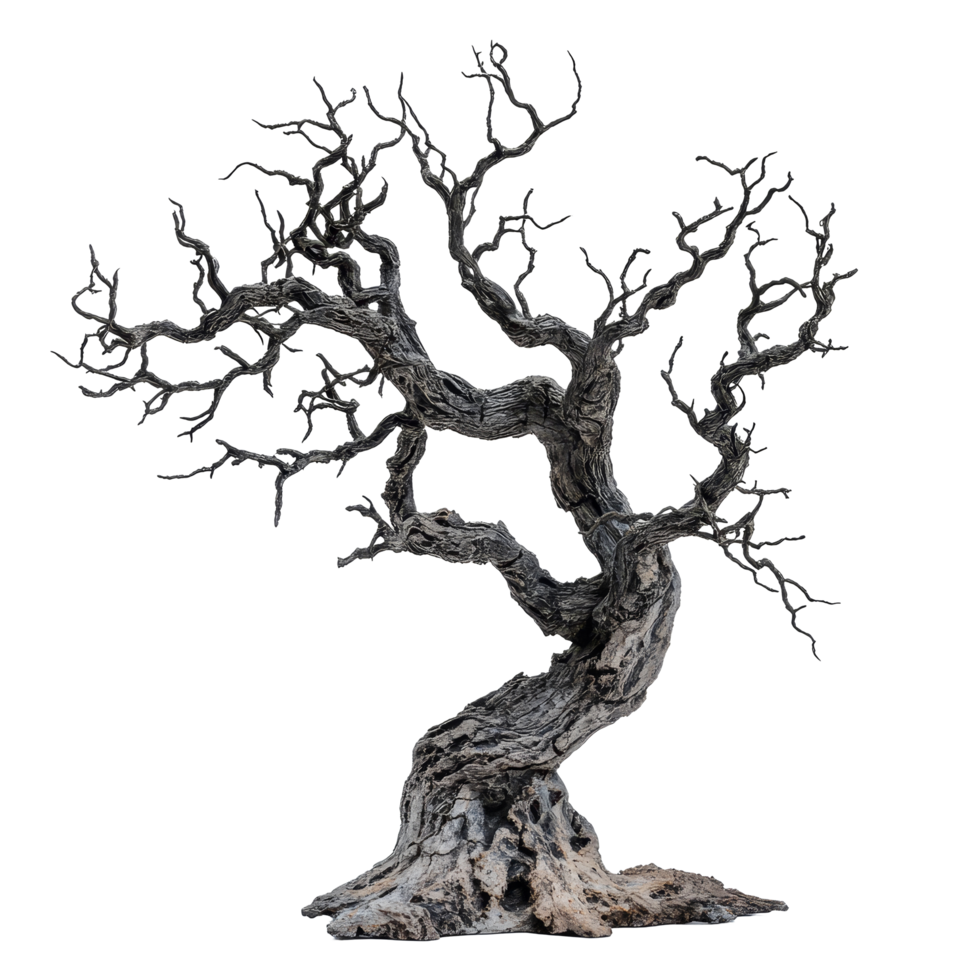 An ancient and eerie dead tree stands alone against a stark transparent background, capturing a haunting and mystical essence, old dead spooky tree isolated on transparent background png