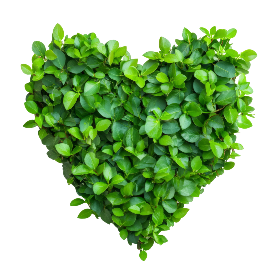 Heartshaped green bush isolated on a transparent background emphasizing natures beauty and vitality, heart shape green bush isolated on transparent background png