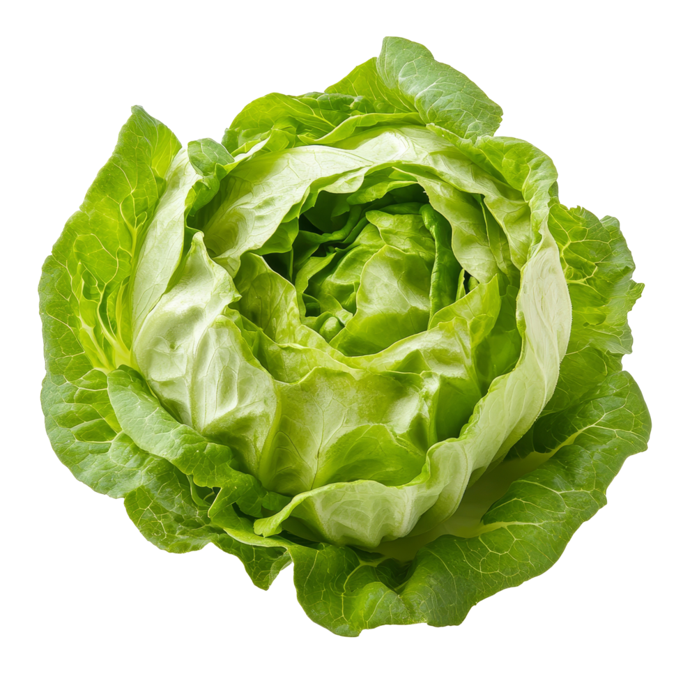 Fresh green iceberg lettuce on a pristine transparent background showcasing its vibrant color and crisp texture, Green Iceberg lettuce on transparent background png