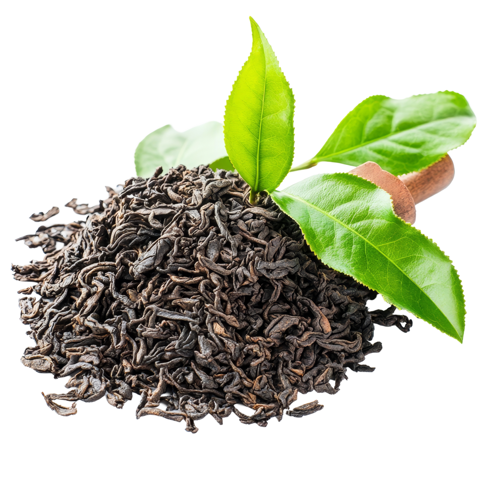Fresh and dry tea leaves with green tea leaves displayed on a transparent background for culinary and wellness purposes, fresh and dry tea isolated on transparent background png