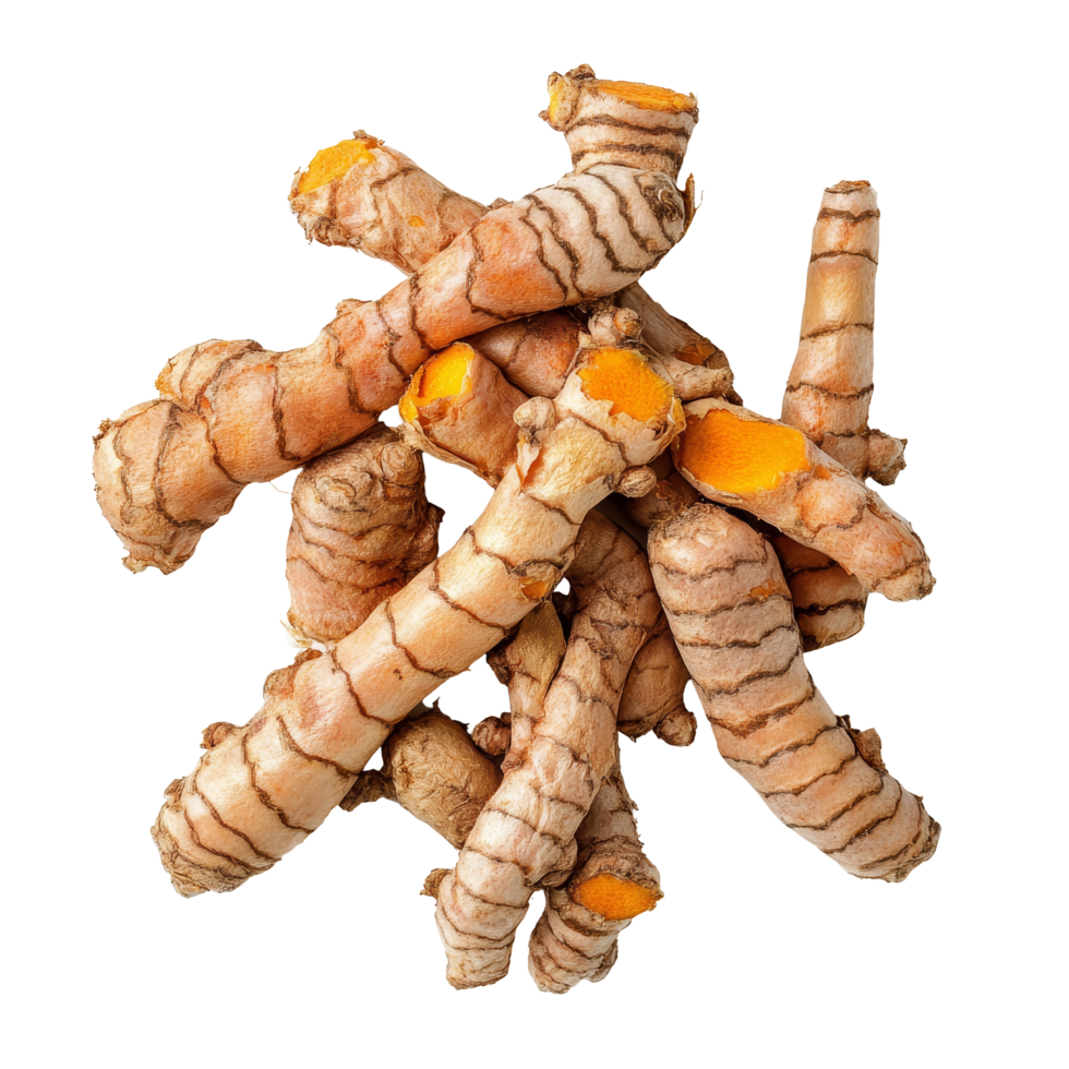 Fresh turmeric roots isolated on a transparent background with vibrant yelloworange flesh for culinary use, turmeric roots isolated on transparent background png