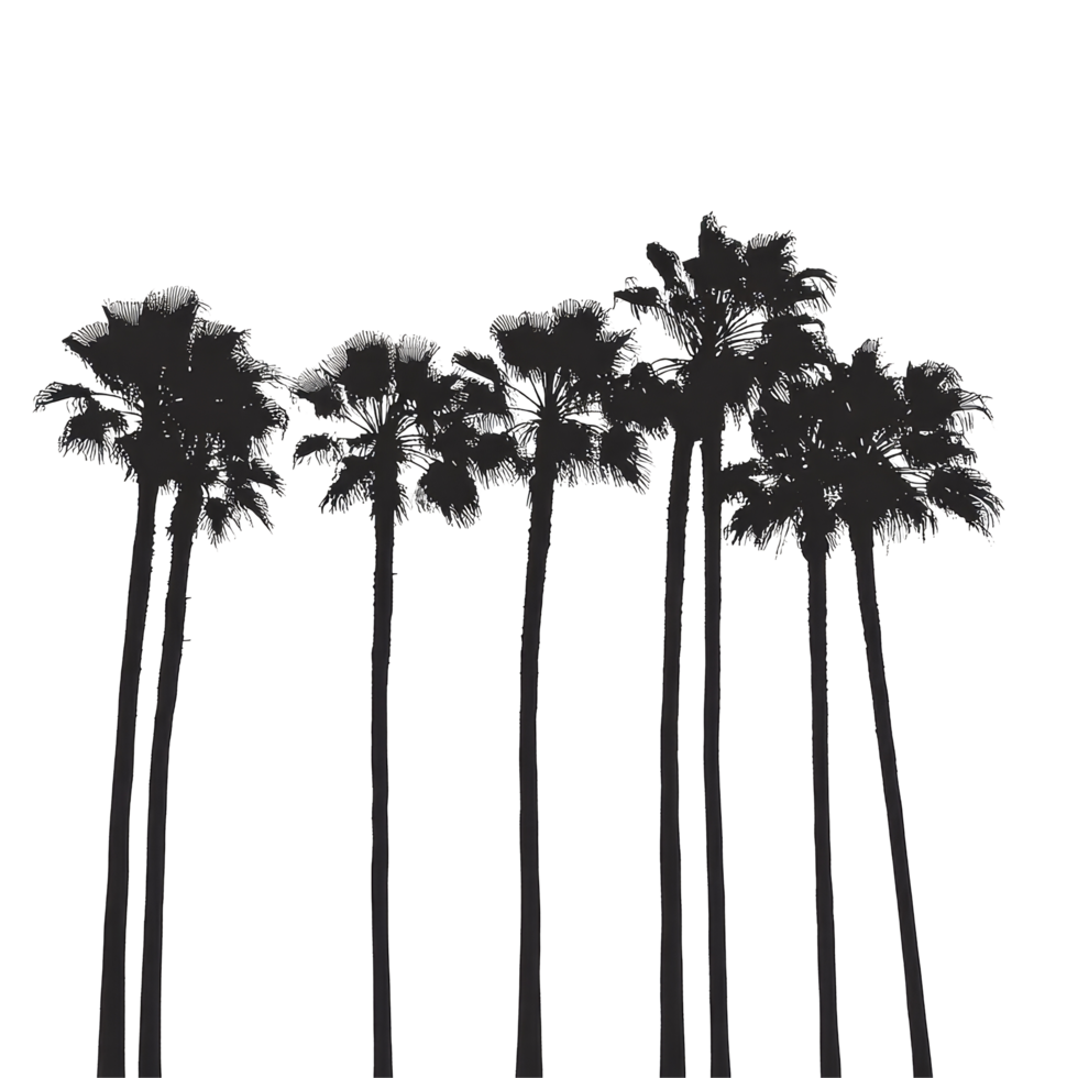 Silhouettes of palm trees against a soft background at sunset capturing a tranquil tropical atmosphere, palm trees silhouettes png