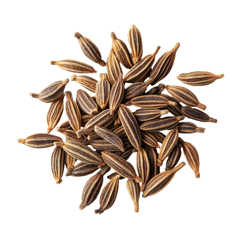 Dried caraway seeds isolated on a transparent background showing their unique shape and color variations, dried Caraway seeds isolated on transparent background png