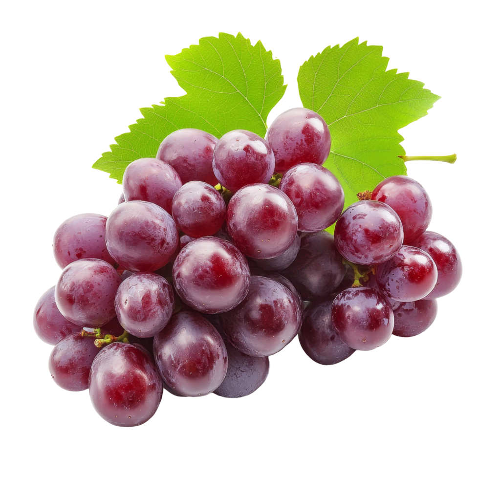 Fresh cluster of grapes isolated on a transparent background showcasing vivid colors and natural beauty, Fresh Grapes Cluster isolated on transparent background png