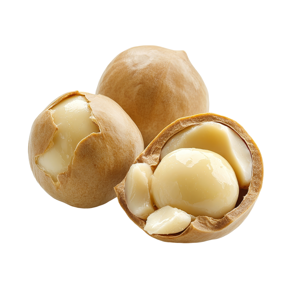 Peeled macadamia nuts arranged elegantly on a clean transparent background, showcasing their smooth texture and rich flavor, Peeled macadamia nut isolated on transparent background png