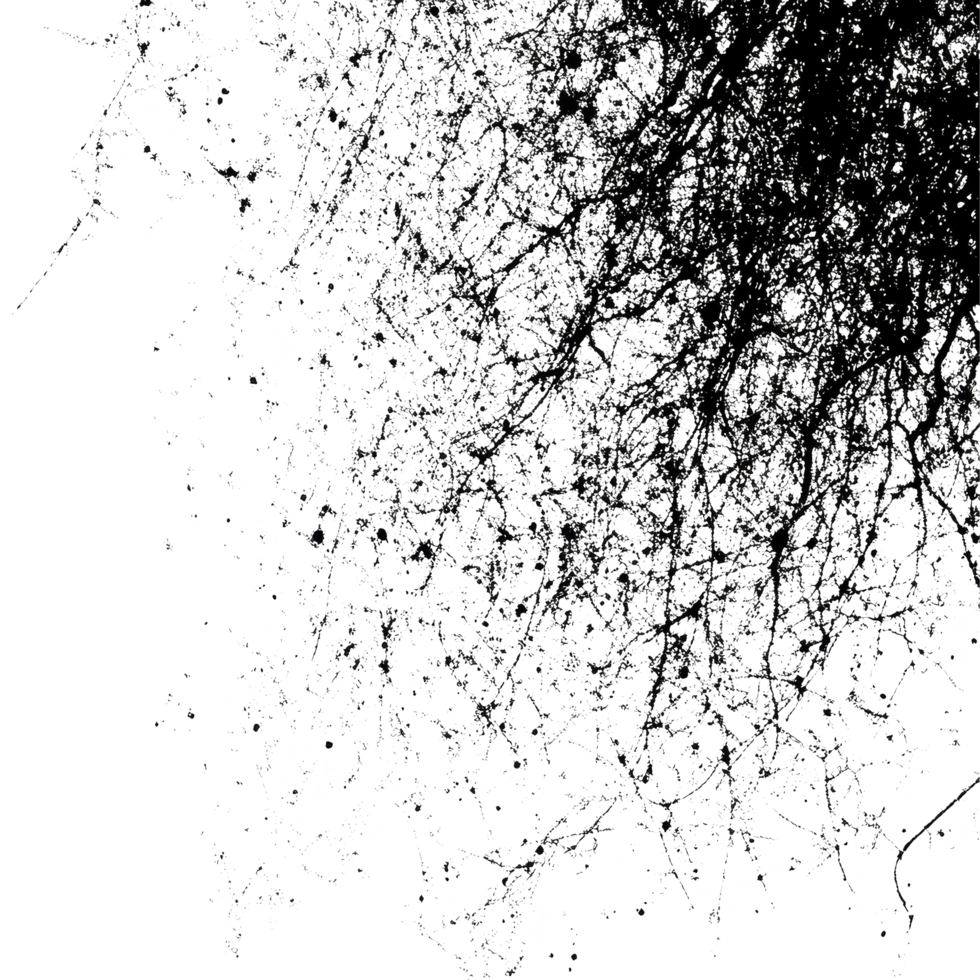 Web grunge noise texture with intricate patterns on a transparent background showcasing abstract design elements, web grunge noise texture on transparent background png