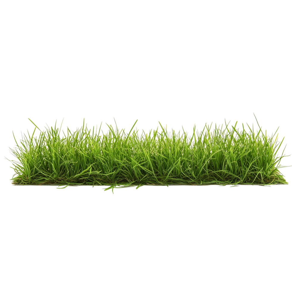 Vibrant green grass strip showcasing fresh blades in a bright setting for landscaping or gardening projects, strip of green fresh grass side view, file of isolated object on transparent background png