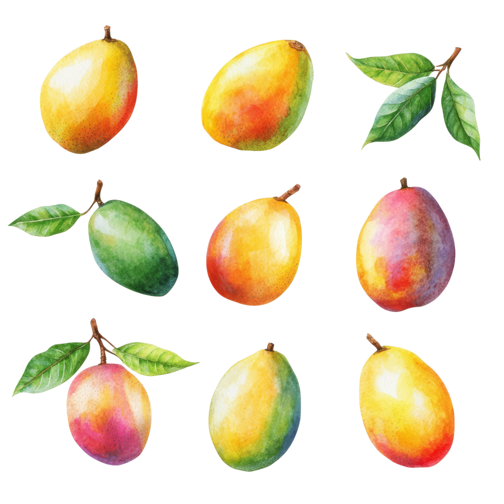 Colorful assortment of mangoes displayed on a clean transparent background highlighting their unique shapes and vibrant colors, ripe mango on transparent background png