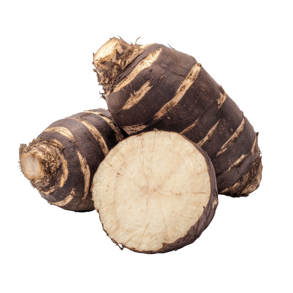 Fresh taro root displayed against a clean transparent background showcasing its texture and shape for culinary inspiration, fresh taro root isolated on transparent background png