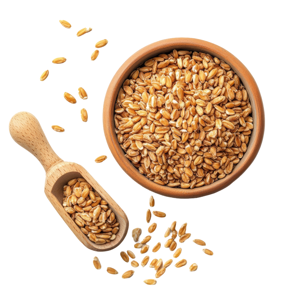 A closeup view of wheat germ in a wooden bowl with a scoop on a transparent background for healthy eating inspiration, Wheat germ in a bowl and scoop on transparent background png