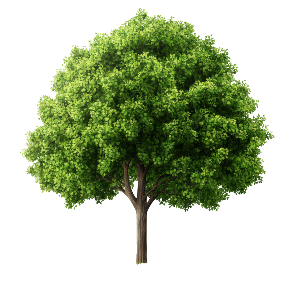 Lush green tree isolated on a transparent background highlighting its vibrant foliage and natural beauty, green trees isolated on blank trasparent background, png