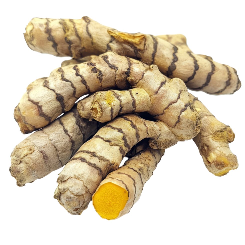Fresh transparent turmeric roots isolated on a clean transparent background showcasing their natural texture and color, transparent Turmeric isolated on transparent background png