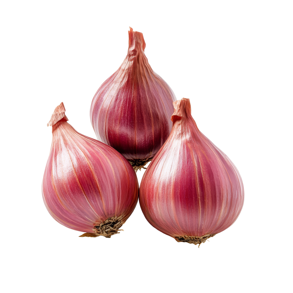 Fresh shallots isolated on a transparent background showcasing their vibrant color and unique shape in a simple presentation, shallots isolated on transparent background png