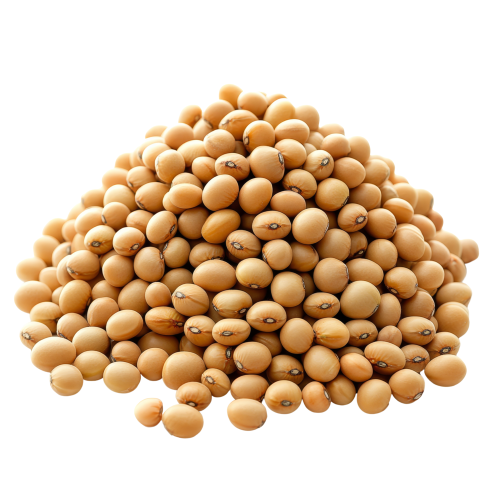 Stacked soybeans on a transparent background showcasing their natural color and texture for food and agricultural contexts, Stacked soybeans isolated on transparent background png