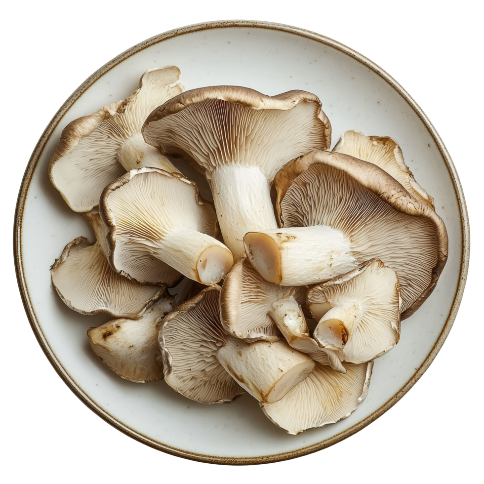 Fresh oyster mushrooms arranged neatly on a transparent plate, showcasing their delicate textures and colors, oyster mushrooms in a plate isolated on transparent background png