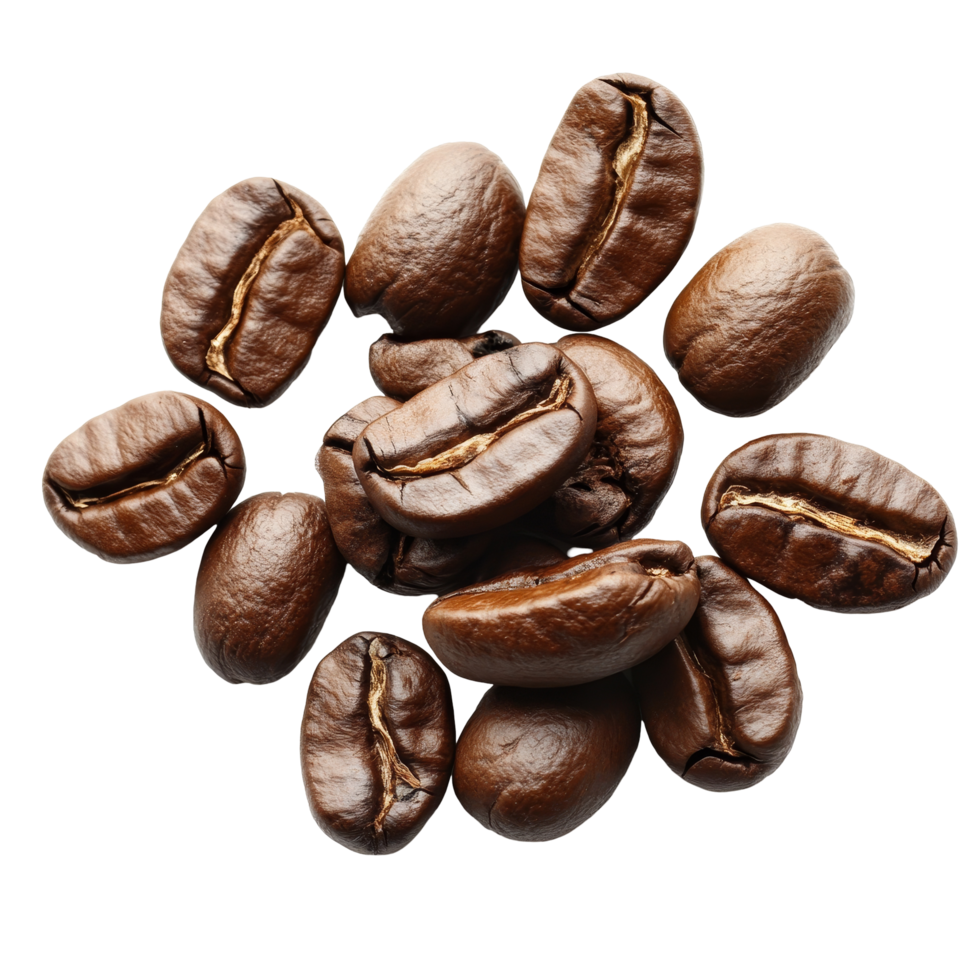 Freshly roasted coffee beans isolated on a bright transparent background for culinary use and beverage preparation ideas, coffee beans isolated on transparent backgroundfile png