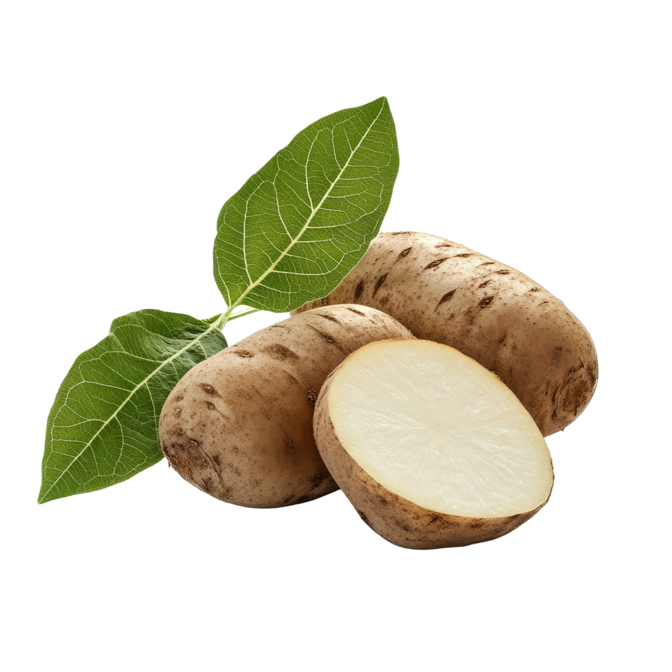 Fresh yam potato with green leaves isolated on a transparent background for culinary and nutritional purposes, yam potato with leaf isolated on transparent background png