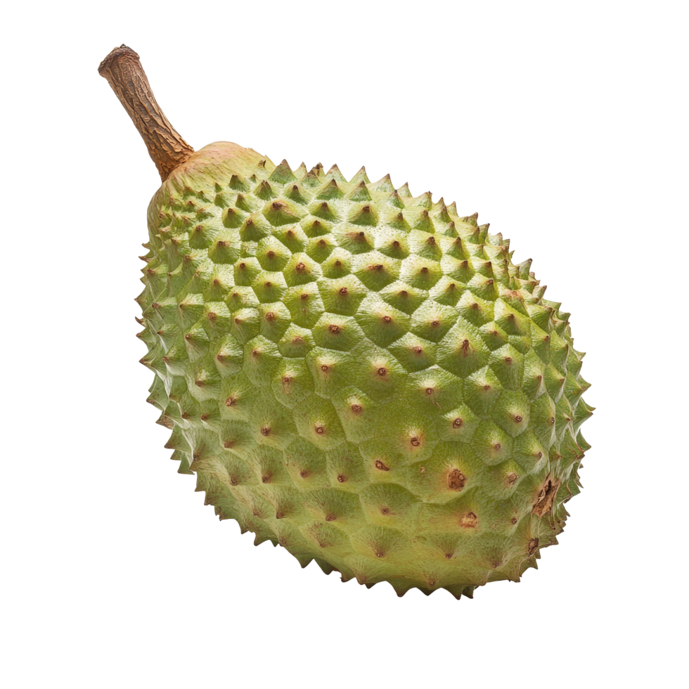 Soursop fruit displaying its unique spiny green exterior set against a crisp transparent background, Soursop fruit on transparent background png