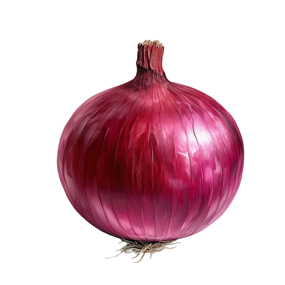 Fresh red onion on a clean transparent background highlighting its vibrant color and natural texture, Red onion on transparent background png