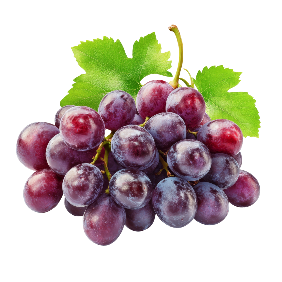 Fresh purple grapes cluster with green leaves isolated on a transparent background ready for consumption or culinary use, Fresh Grapes Cluster Isolated isolated on transparent background png