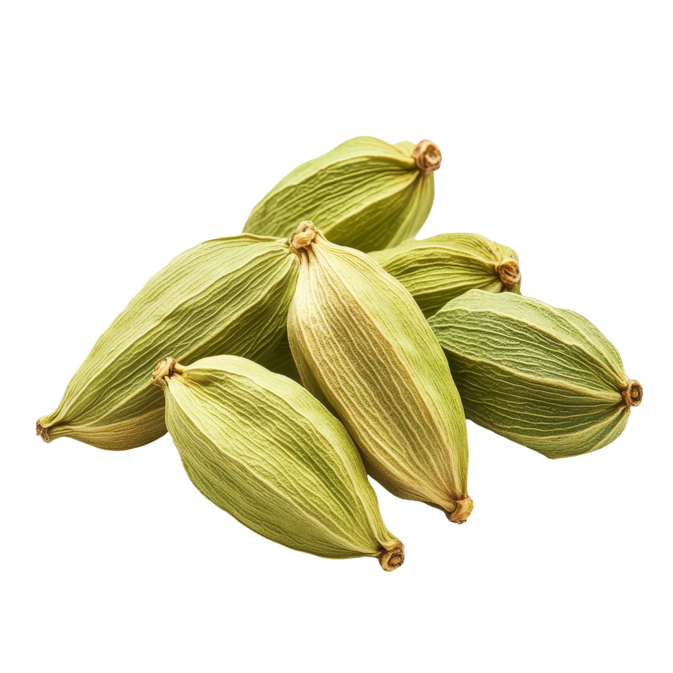 Fresh cardamom pods isolated on a transparent background showcasing their unique texture and vibrant color, cardamom isolated transparent background png