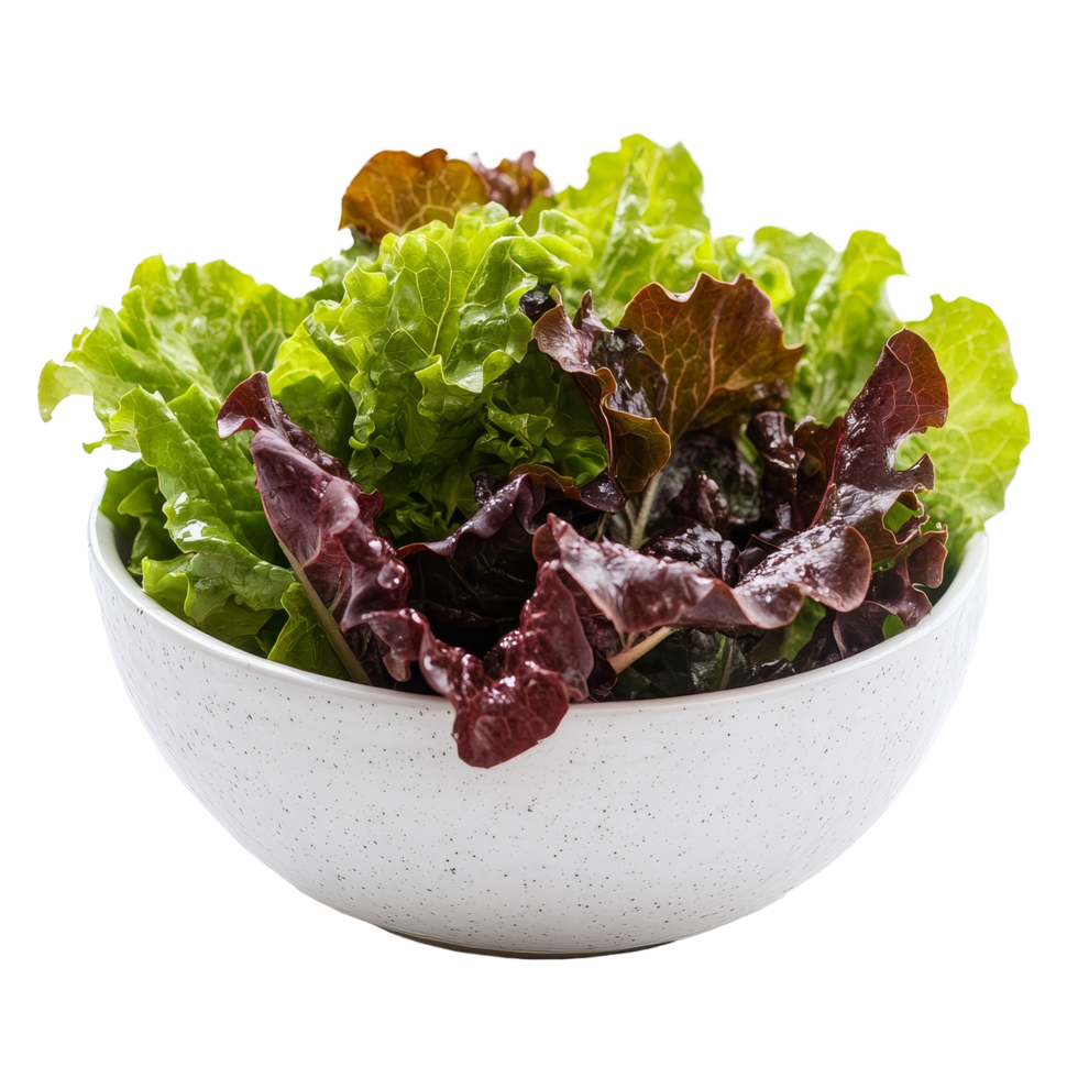 Fresh red oak lettuce in a transparent bowl on a simple transparent background ready for salad preparation, Red oak lettuce in transparent bowl on transparent background png