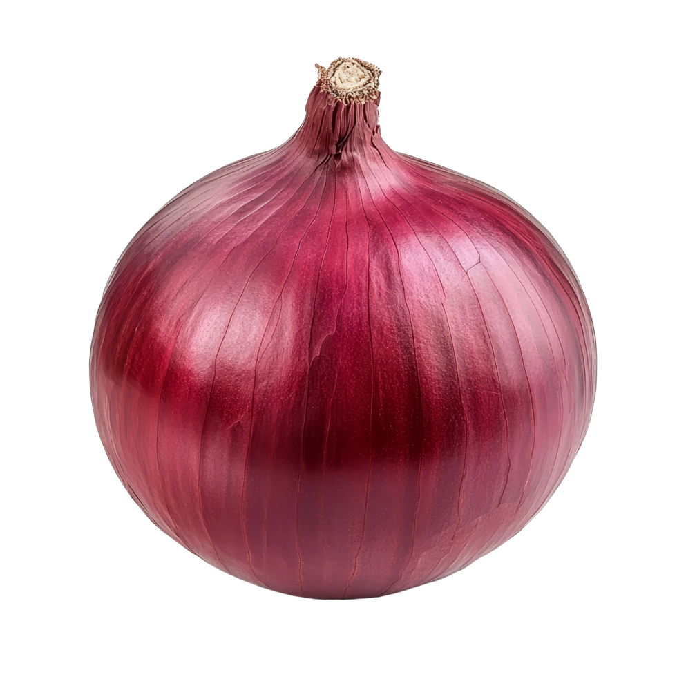 Fresh red onion isolated on a clean transparent background for culinary use or decorative purposes, red onion isolated on transparent background png