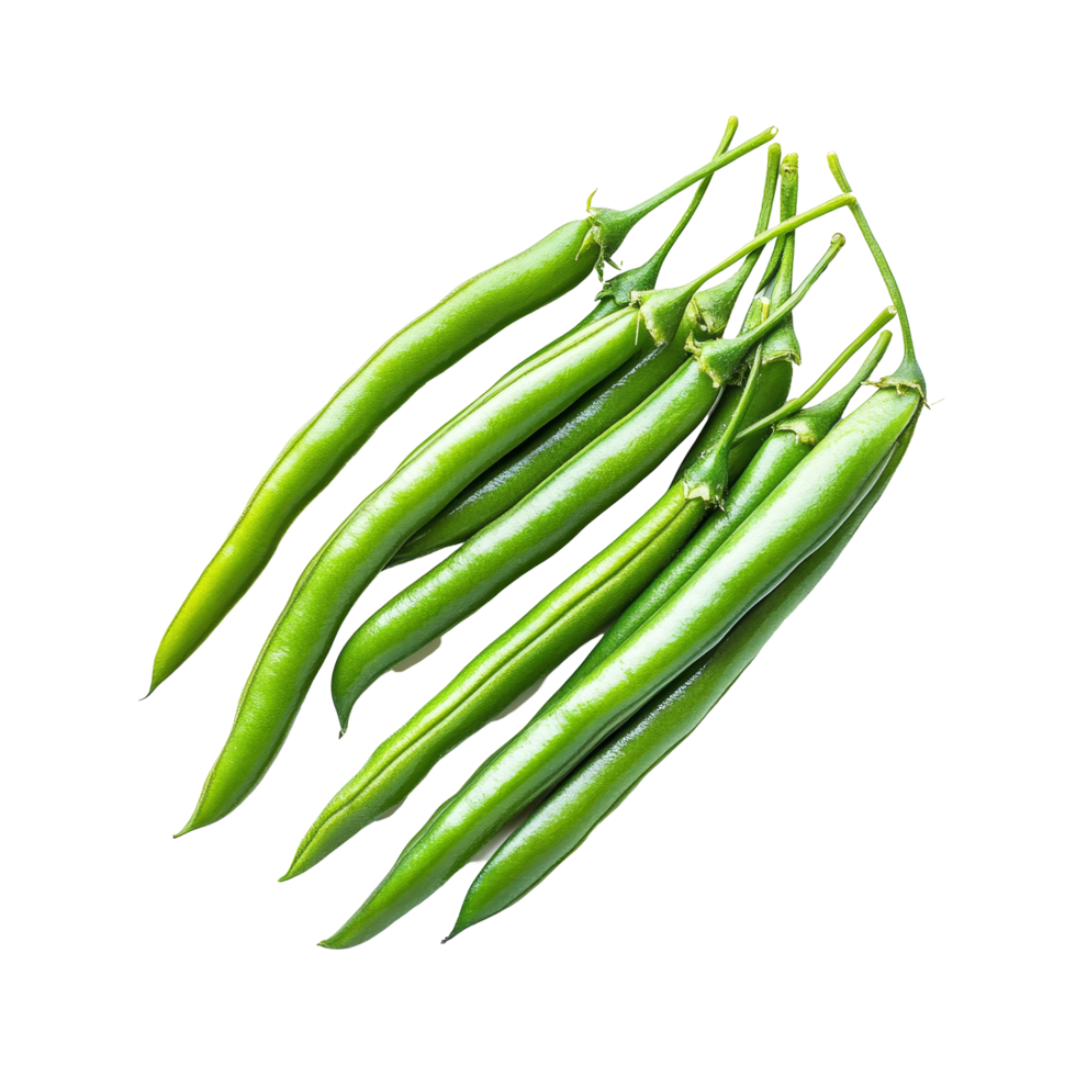 Fresh green beans displayed on a transparent background, showcasing their vibrant color and crisp texture for culinary use, green bean on transparent background png