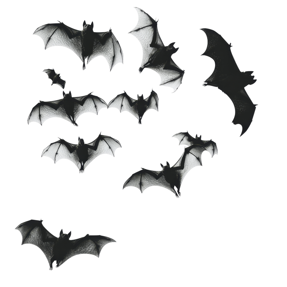 A flock of bats flying in a dark cluster against a transparent background at dusk, flying flock of bats, file of isolated object on transparent background png