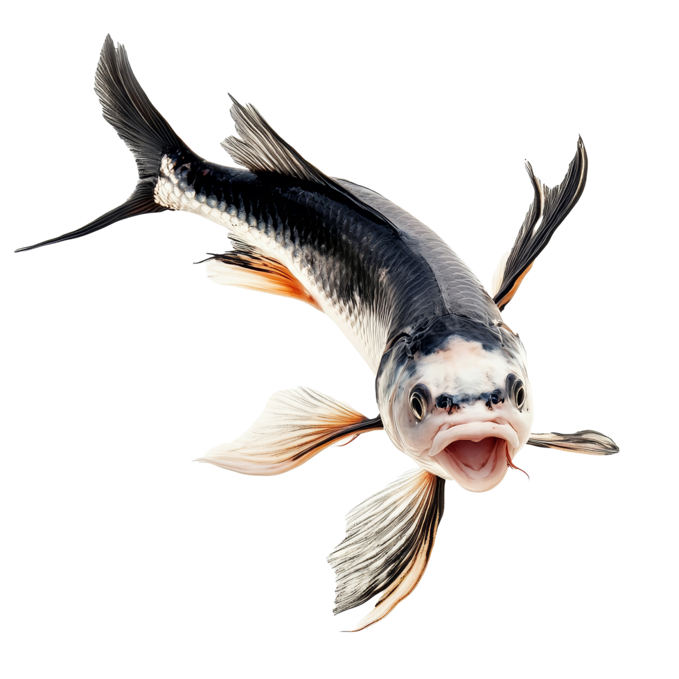 Dynamic leaping fish captured against a clean transparent background in a vivid display of motion and energy, Leaping Fish Action transparent background png