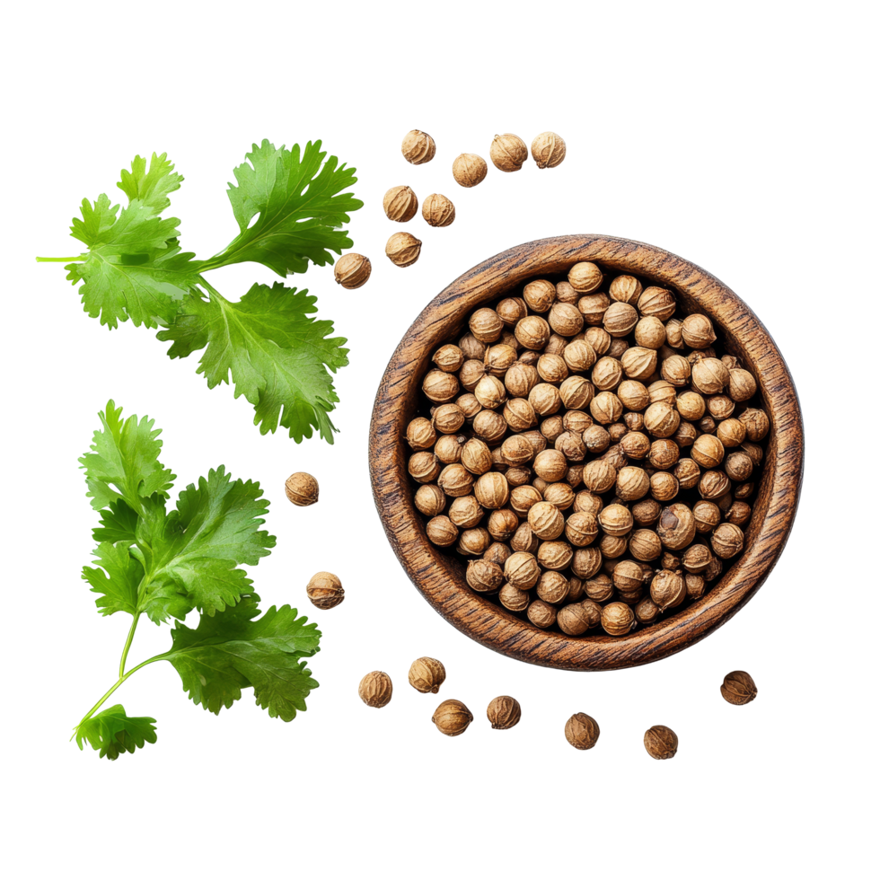 Fresh coriander leaves and seeds arranged on a transparent background with a wooden bowl showcasing their natural beauty, coriander leaf and seeds isolated on transparent background png