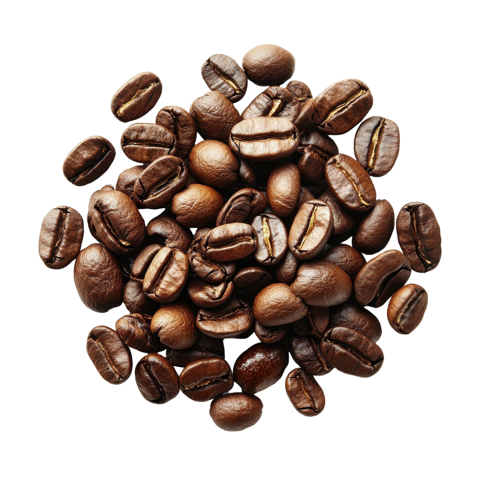 Rich brown coffee beans arranged neatly on a bright Transparent background for a clean and aesthetic presentation, coffeeisolated on background png