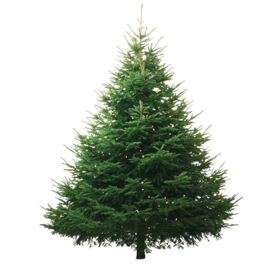 Beautiful green Christmas tree with twinkling lights on a white background, Green Christmas tree. white background png