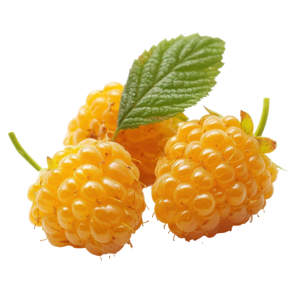 Half yellow raspberries on white background ready for culinary uses or decoration, half yellow raspberries isolated on white background png