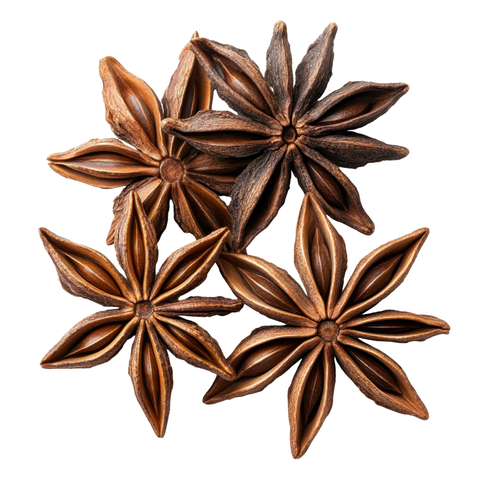 Whole star anise isolated on Transparent background showcasing its distinct star shape and brown hues, beef dish with pasta and sauce isolated on background png