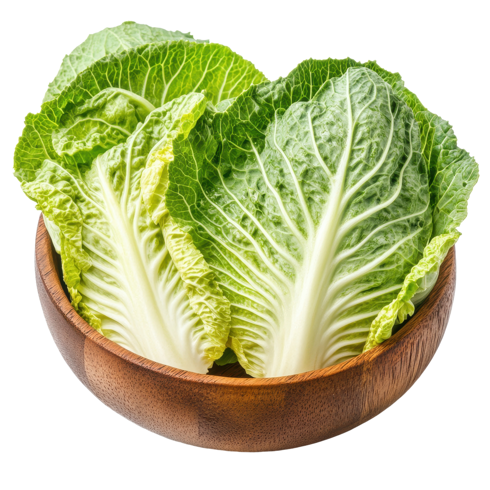Freshly sliced Chinese cabbages in a wooden bowl, ideal for salads and stir fries, fresh chinese cabbages slice in wood bowl isolated on white background png
