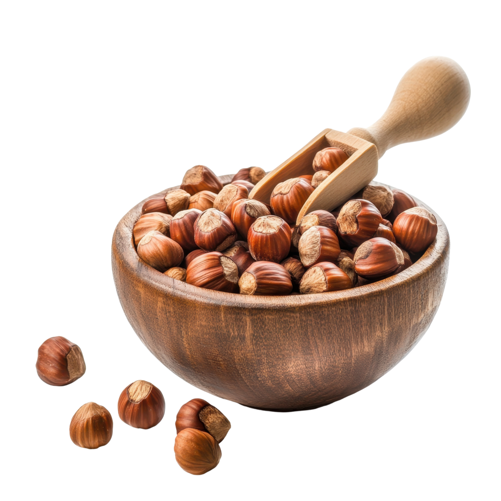 Freshly harvested hazelnuts in a rustic wooden bowl with a scoop on a white background, hazelnuts in wood bowl and scoop on white background png