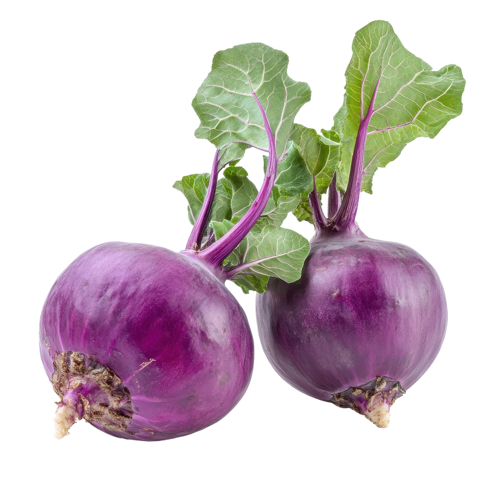 Purple kohlrabi on a Transparent background highlighting its vibrant color and unique shape, Purple kohlrabi isolated on background png