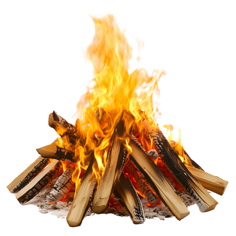 Flickering bonfire flames captured mid-burn. Isolated on transparent Background png