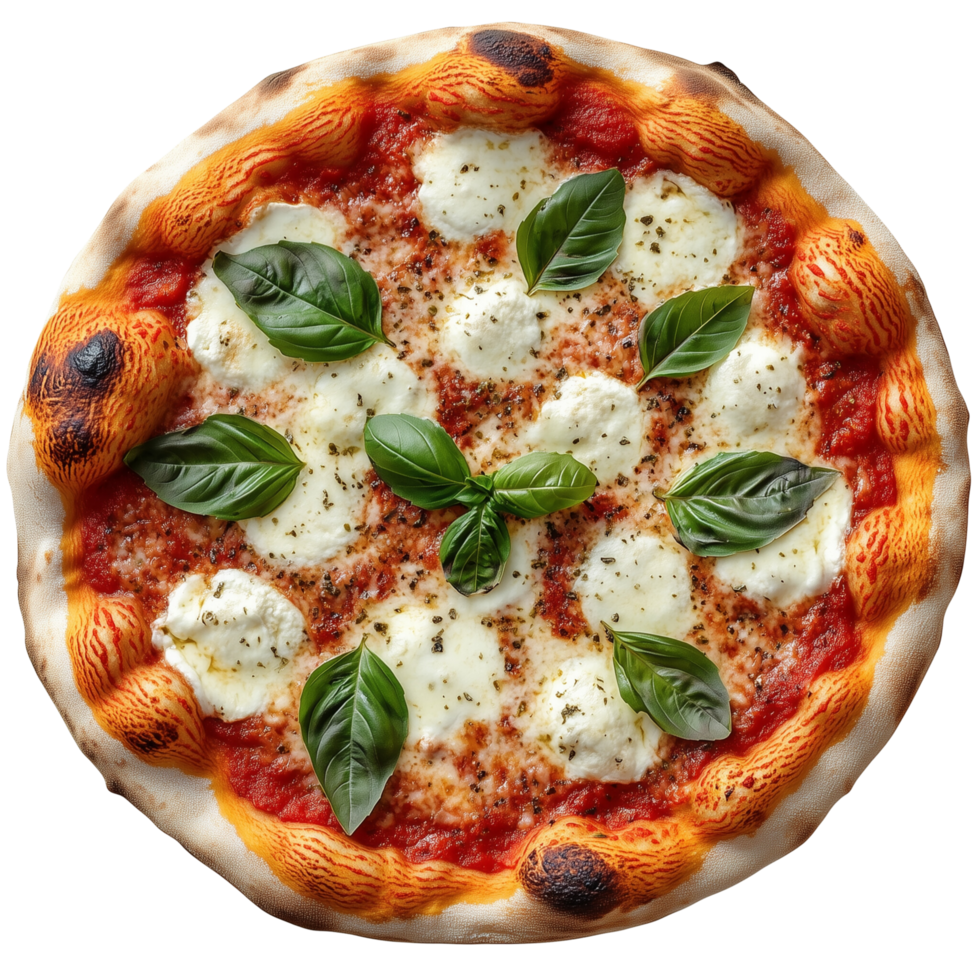 Margherita pizza topped with mozzarella, basil, and tomato sauce, isolated on transparent Background png