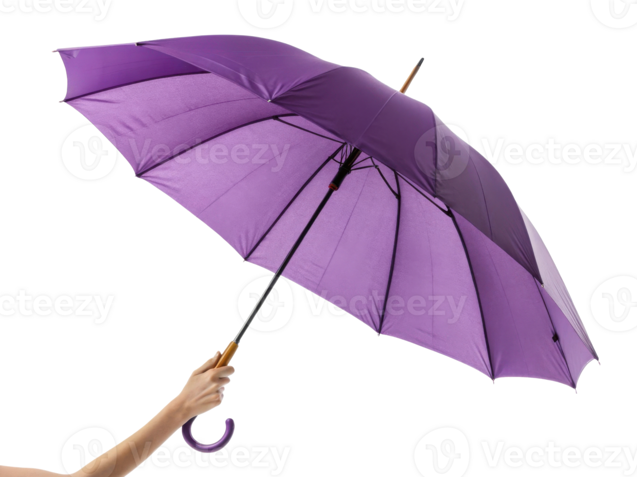 vibrant purple umbrella held by hand, showcasing its elegant design and functionality, perfect for rainy days or sunny outings png