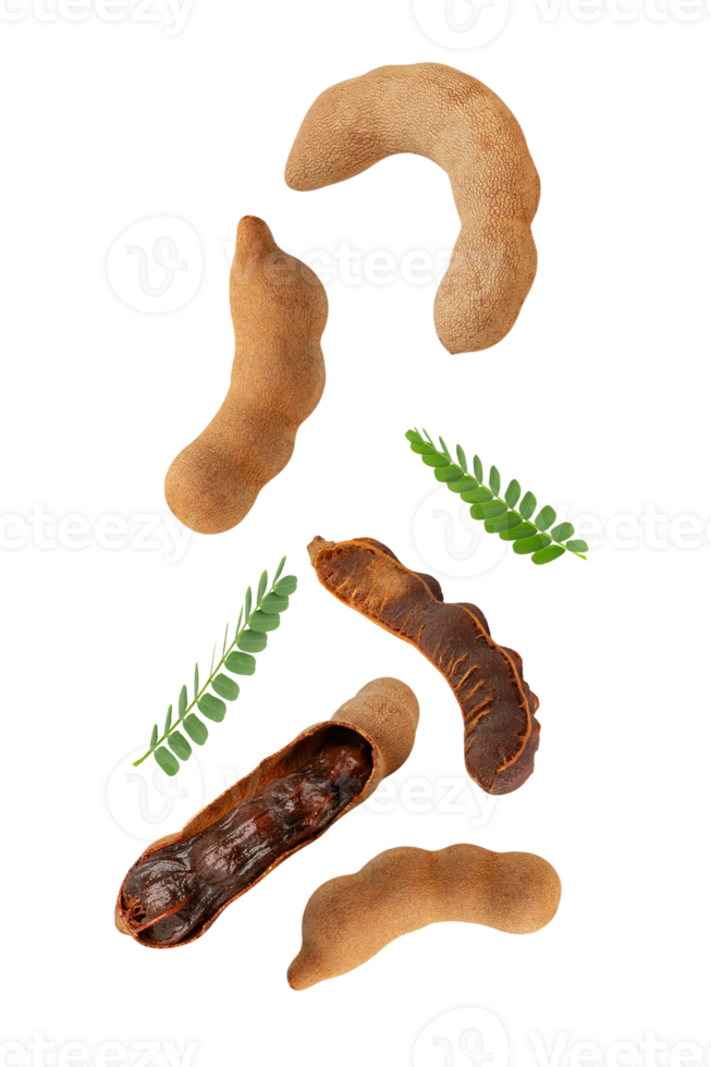 Falling sweet tamarind png