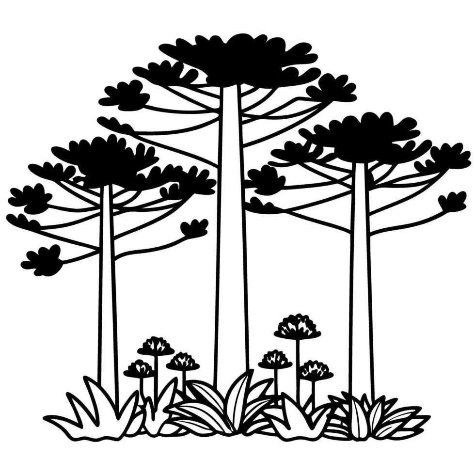 Araucaria trees silhouette black and white nature illustration with foliage and flora vector